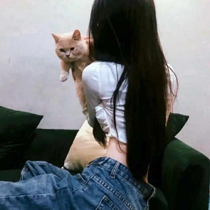 棠而凰之