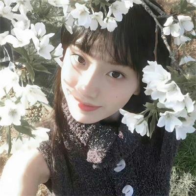 班淑传奇